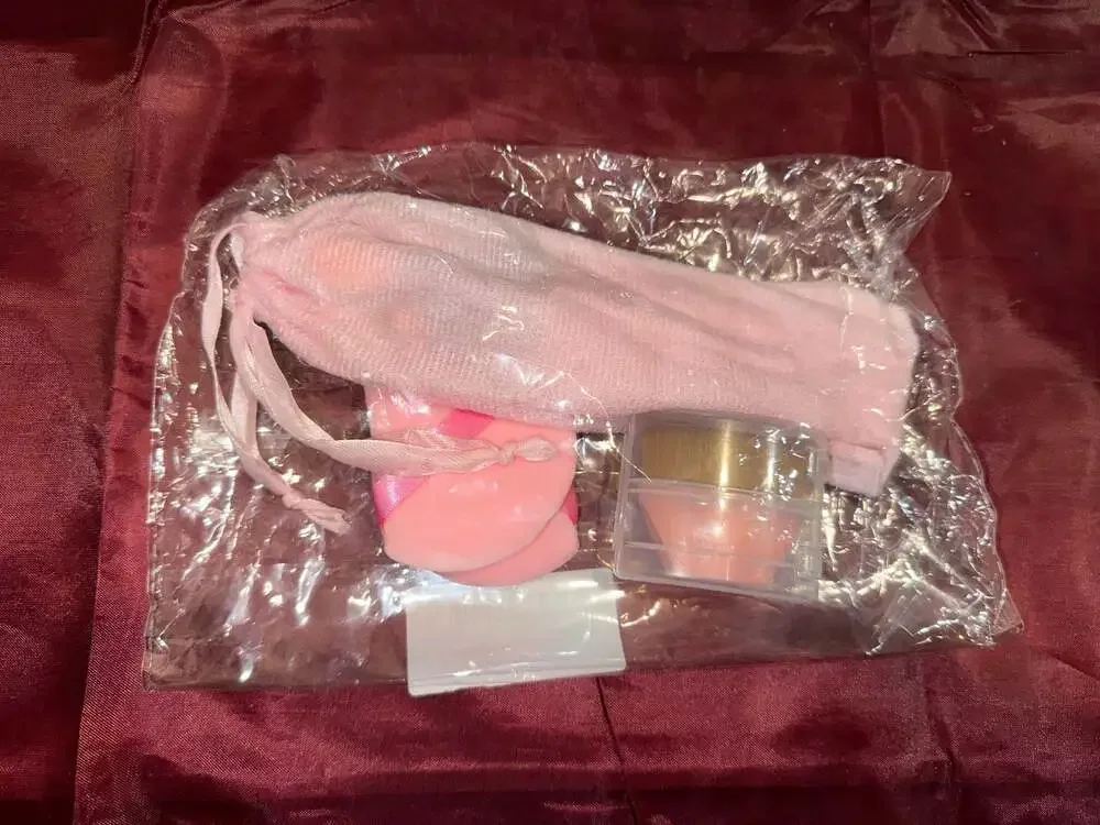 Pink Makeup Brush Set with Pouch, Powder Puffs, and Foundation Brush in Case